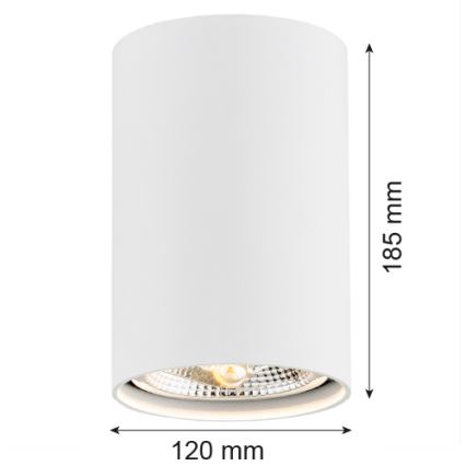 Argon 4910 - Spotlámpa TUBO AR111 1xGU10/15W/230V fehér