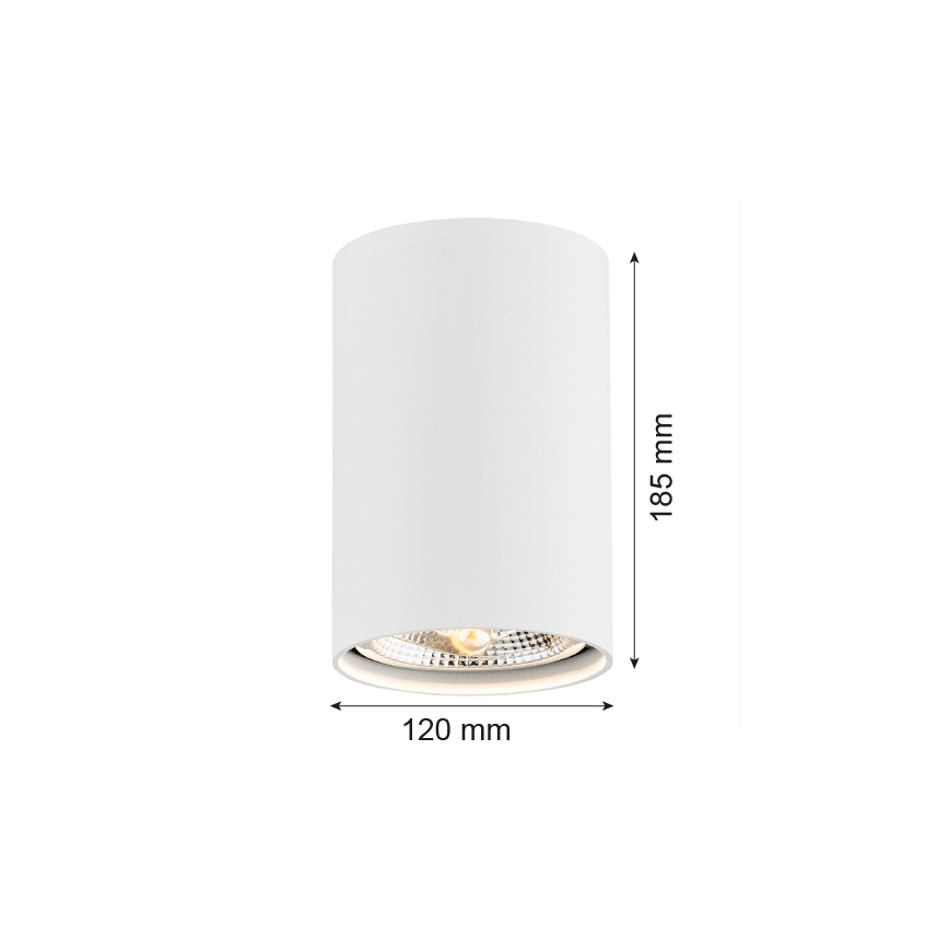 Argon 4910 - Spotlámpa TUBO AR111 1xGU10/15W/230V fehér