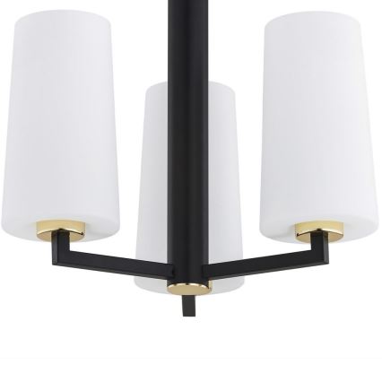 Argon 6143 - Csillár rúdon CAMELOT PLUS 3xE27/15W/230V fekete/fehér/arany