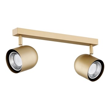 Argon 7150 - Spotlámpa ISOLA 2xGU10/5W/230V