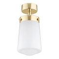 Argon 8005 - Felületre szerelhető csillár PASADENA 1xE27/15W/230V arany/fehér