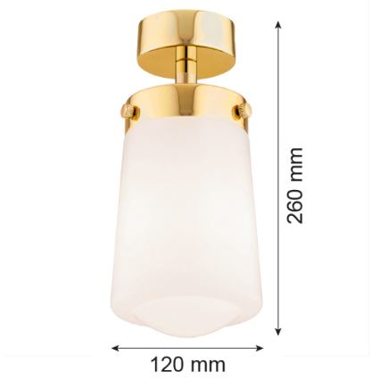 Argon 8005 - Felületre szerelhető csillár PASADENA 1xE27/15W/230V arany/fehér