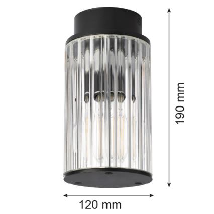 Argon 8773 - Kültéri mennyezeti lámpa NORFOLK 1xE27/15W/230V IP44 fekete