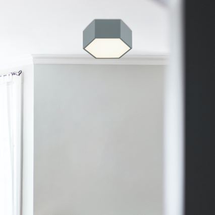 Argon 8784 - LED Mennyezeti lámpa LIBERO LED/12W/230V 3000K szürke