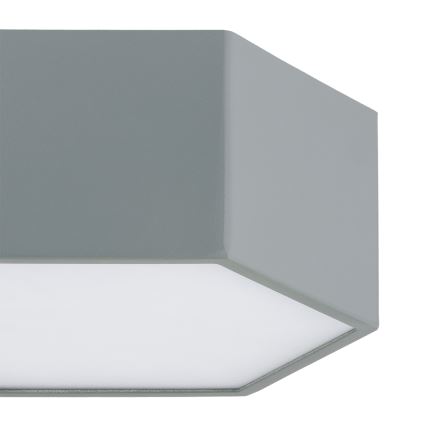 Argon 8784 - LED Mennyezeti lámpa LIBERO LED/12W/230V 3000K szürke