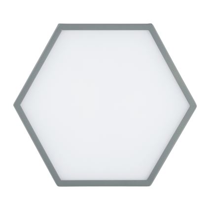 Argon 8784 - LED Mennyezeti lámpa LIBERO LED/12W/230V 3000K szürke