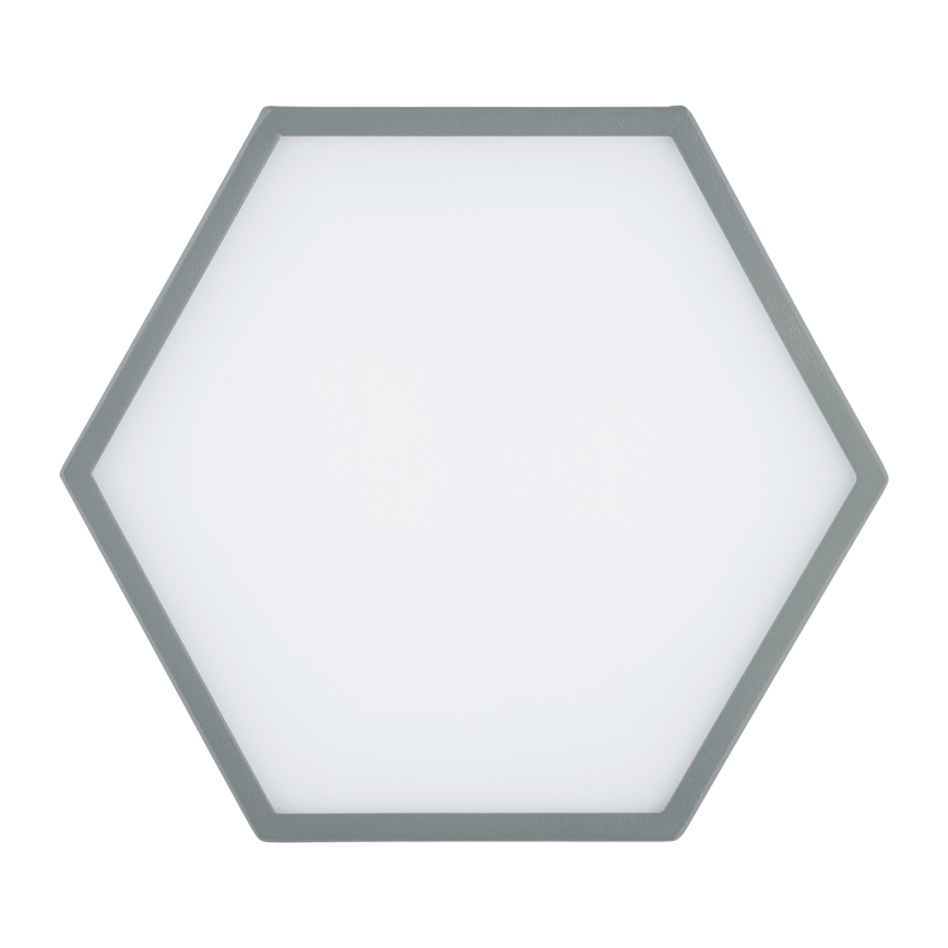 Argon 8784 - LED Mennyezeti lámpa LIBERO LED/12W/230V 3000K szürke