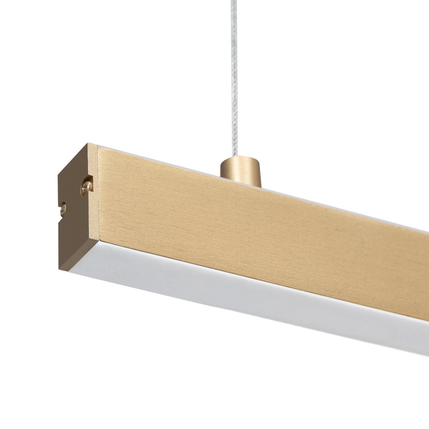 Argon 8836 - LED Csillár zsinóron MIAMI LED/37W/230V 3000K arany