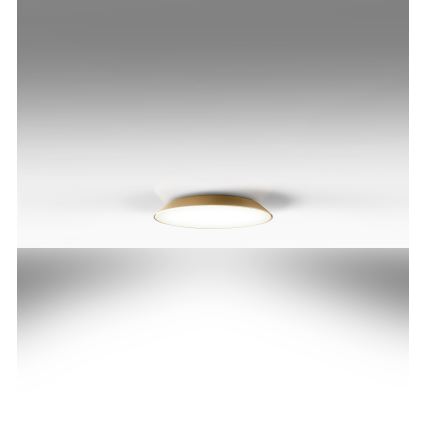 Artemide AR 0241320A - LED mennyezeti lámpa FEBE 4xLED/30W/230V