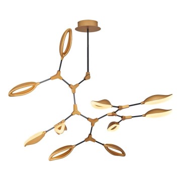 ASTI LED csillár rúdon 10xLED/7W/230V 3000K arany