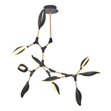 ASTI LED csillár rúdon, 10xLED/7W/230V, 3000K, fekete