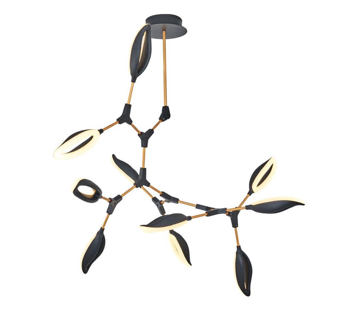 ASTI LED csillár rúdon, 10xLED/7W/230V, 3000K, fekete 414LRC1338