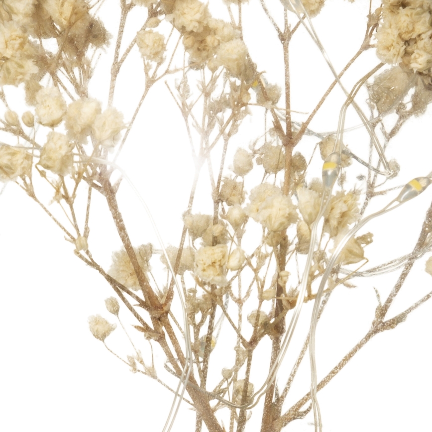 Atmosphera - LED Asztali lámpa MICRO LED/2xAAA