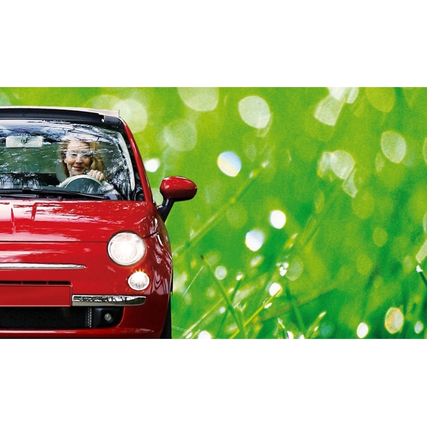 Auto izzó Philips ECOVISION 12972LLECOB1  H7 PX26d/55W/12V