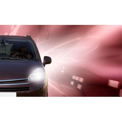 Autó izzó Philips VISION PLUS 12258VPB1 H1 P14,5s/55W/12V