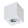 Azzardo AZ2822 - Fürdőszobai mennyezeti lámpa BRANT 1xGU10/50W/230V IP44