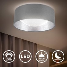 B.K. Licht 1308 - LED Mennyezeti lámpa LED/12W/230V