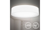 B.K. Licht 1394 - LED Mennyezeti lámpa LED/20W/230V fehér