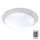 B.K.Licht BKL1025 -LED RGB Szabályozható fürdőszobai lámpa ASKELLA LED/12W/230V IP44 + távirányító