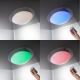 B.K.Licht BKL1025 -LED RGB Szabályozható fürdőszobai lámpa ASKELLA LED/12W/230V IP44 + távirányító