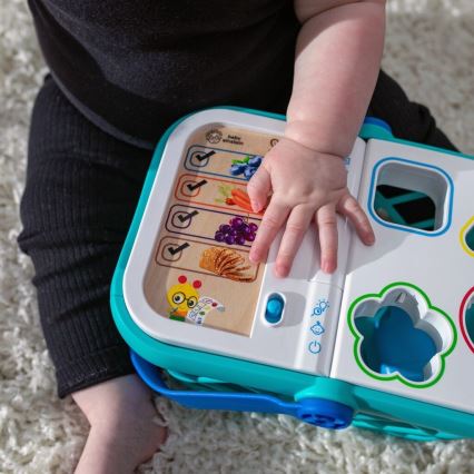 Baby Einstein - Interaktív gyerek bevásárlókosár MAGIC TOUCH HAPE 3xAAA