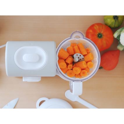 Beaba - 2 az 1-ben gőzölős főző BABYCOOK EXPRESS szürke