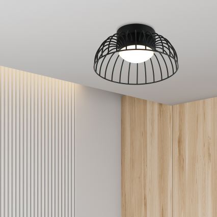 BETSY LED mennyezeti lámpa, 12W/230V, Ø 25 cm, fekete