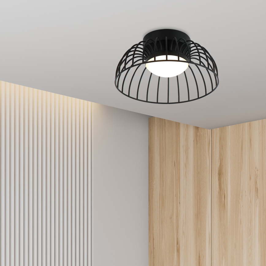 BETSY LED mennyezeti lámpa, 12W/230V, Ø 25 cm, fekete