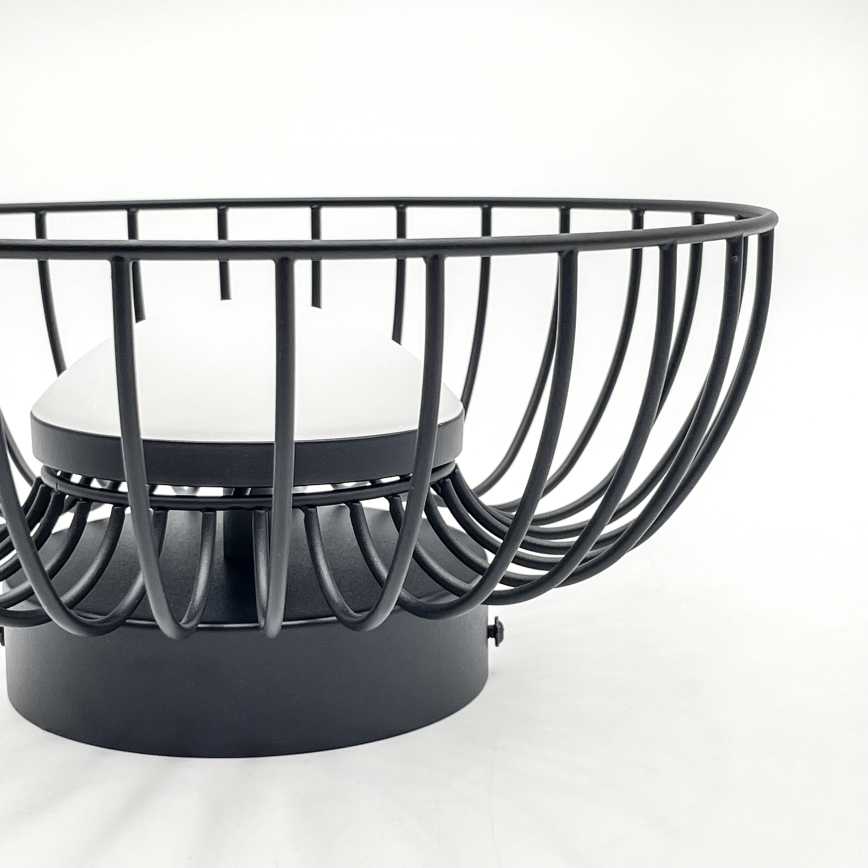 BETSY LED mennyezeti lámpa, 12W/230V, Ø 25 cm, fekete