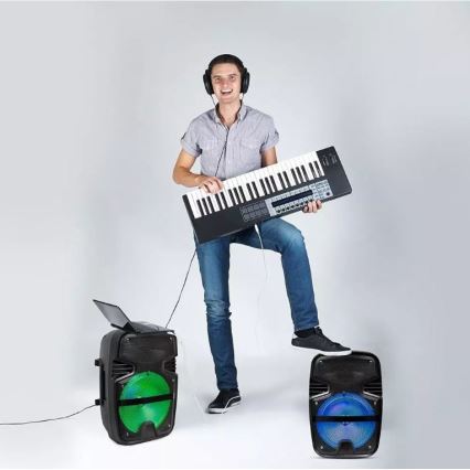 Bluetooth hordozható hangszóró mikrofonnal 15W/3,7V LED RGB + távirányító