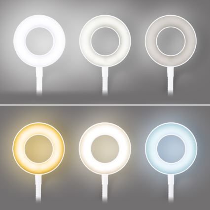 Brilagi - LED állítható fényerejű lámpa csíptetővel ORBELA LED/8W/230V 3000/4000/5000K fehér