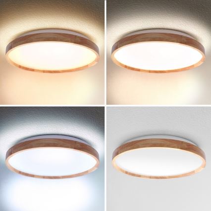 Brilagi - LED dimmelhető mennyezeti lámpa ALSON LED/48W/230V 3000-6500K tölgy átmérő 39,5 cm + távirányító