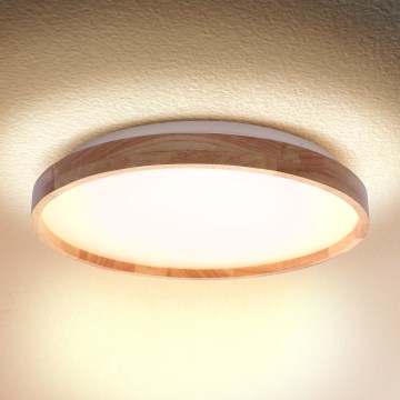 Brilagi - ALSON LED mennyezeti lámpa, 24W/230V, átm. 29,5 cm, tölgy