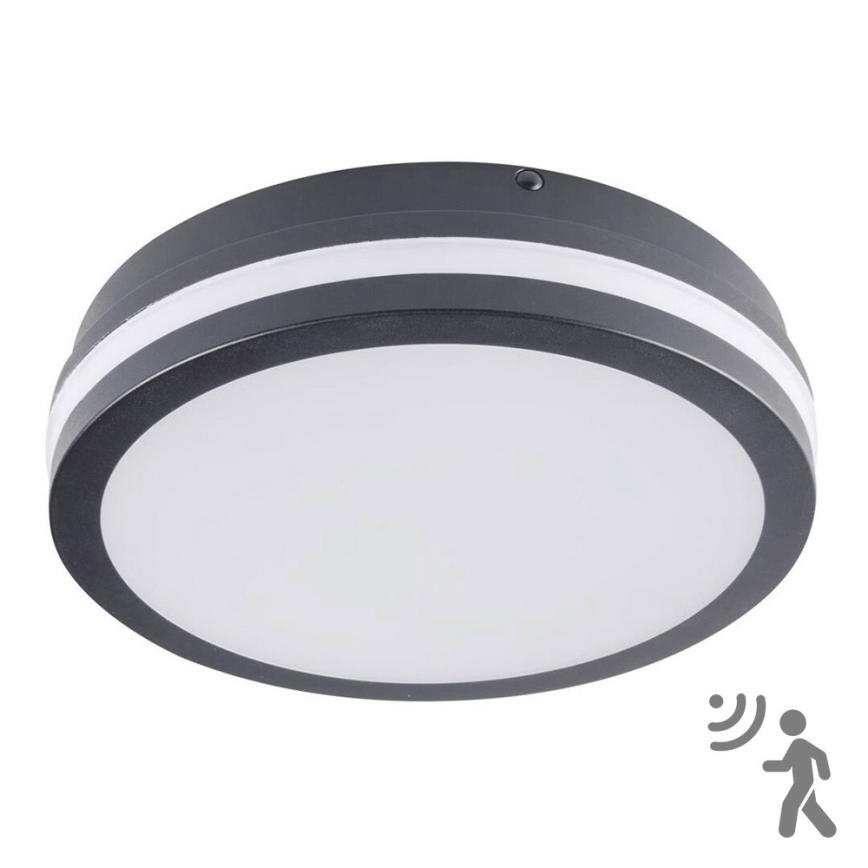Brilagi - LED kültéri lámpatest mozgásérzékelővel BENE LED/18W/230V átm. 22 cm antracit IP54