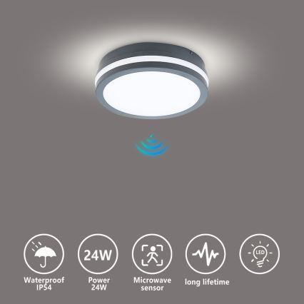 Brilagi - LED kültéri lámpatest mozgásérzékelővel BENE LED/18W/230V átm. 22 cm antracit IP54