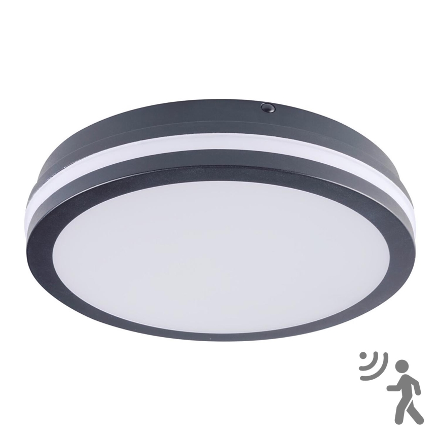 Brilagi - LED kültéri lámpatest érzékelővel BENE LED/24W/230V Ø 26 cm antracit IP54