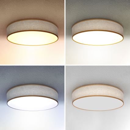 Brilagi - LED dimmelhető mennyezeti lámpa CARMEN LED/48W/230V 3000-6500K átm. 40 cm + távirányító