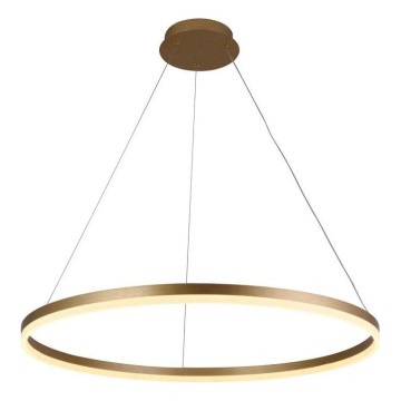 Brilagi - CIRCLE LED dimmelhető csillár kábellel, 55W/230V, 3000–6500K, Ø 80 cm, arany + távirányító