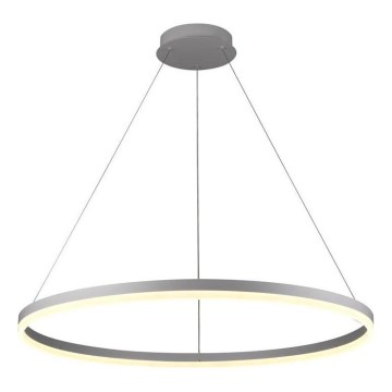 Brilagi - CIRCLE LED dimmelhető függeszték kábelen LED/55W/230V 3000-6500K átm. 80 cm ezüst + távirányító