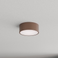 Brilagi - CLARE fürdőszobai mennyezeti lámpatest mozgás- és szürkületérzékelővel 1xE27/24W/230V, átmérő 20 cm, barna, IP54