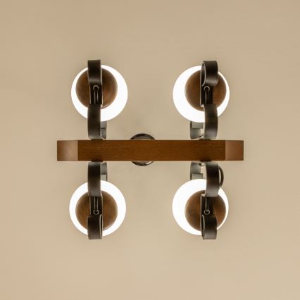 Brilagi - Csillár láncon QUEEN 4xE14/40W/230V bükkfa/dió