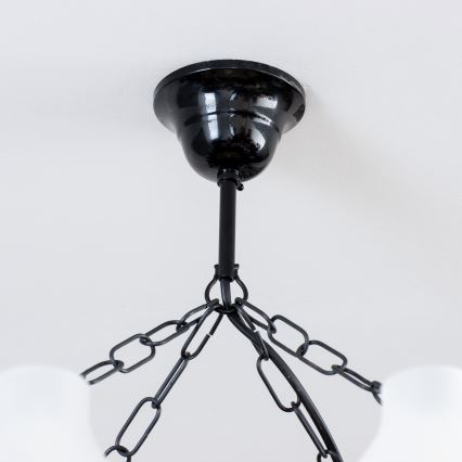 Brilagi - Csillár láncon QUEEN 8xE14/40W/230V bükkfa/dió