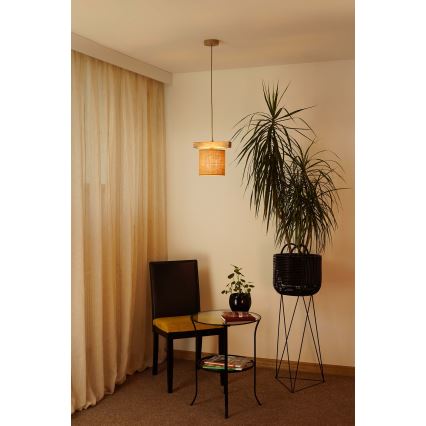 Brilagi - Csillár zsinóron FOREST 1xE27/15W/230V fenyő/barna