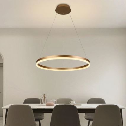 Brilagi - LED fényerőszabályozható függeszték kábellel CIRCLE LED/42W/230V 3000-6500K átm. 60 cm + távirányító