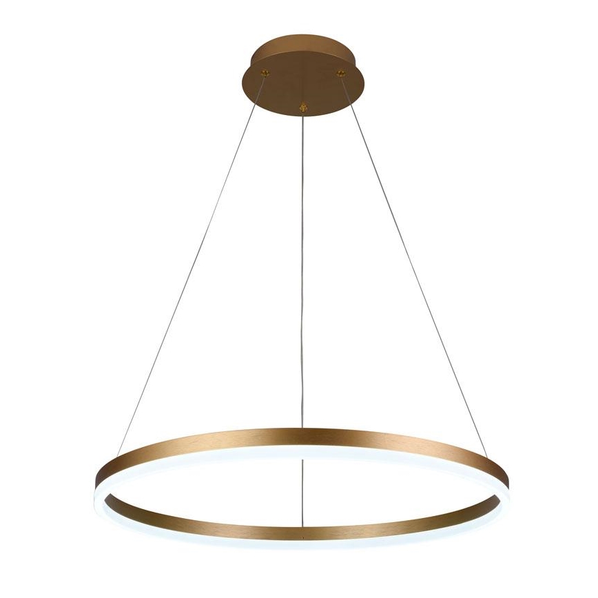 Brilagi - LED fényerőszabályozható függeszték kábellel CIRCLE LED/42W/230V 3000-6500K átm. 60 cm + távirányító