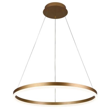 Brilagi - LED fényerőszabályozható függeszték kábellel CIRCLE LED/42W/230V 3000-6500K átm. 60 cm + távirányító