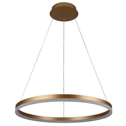Brilagi - LED fényerőszabályozható függeszték kábellel CIRCLE LED/42W/230V 3000-6500K átm. 60 cm + távirányító