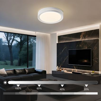 Brilagi - LED dimmelhető mennyezeti lámpa KREON LED/54W/230V 3000-6000K fehér átm. 38 cm + távirányítóval