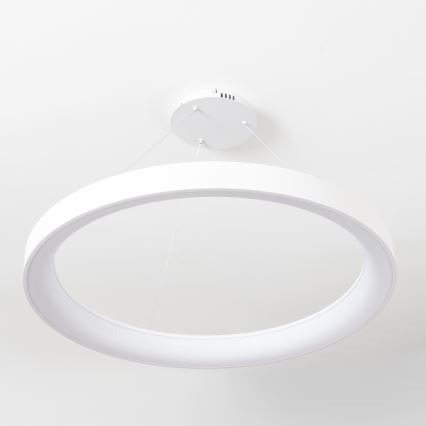 Brilagi - LED Dimmelhető kábeles függeszték FALCON II LED/108W/230V 3000-6500K Ø 80 cm fehér + távirányítóval