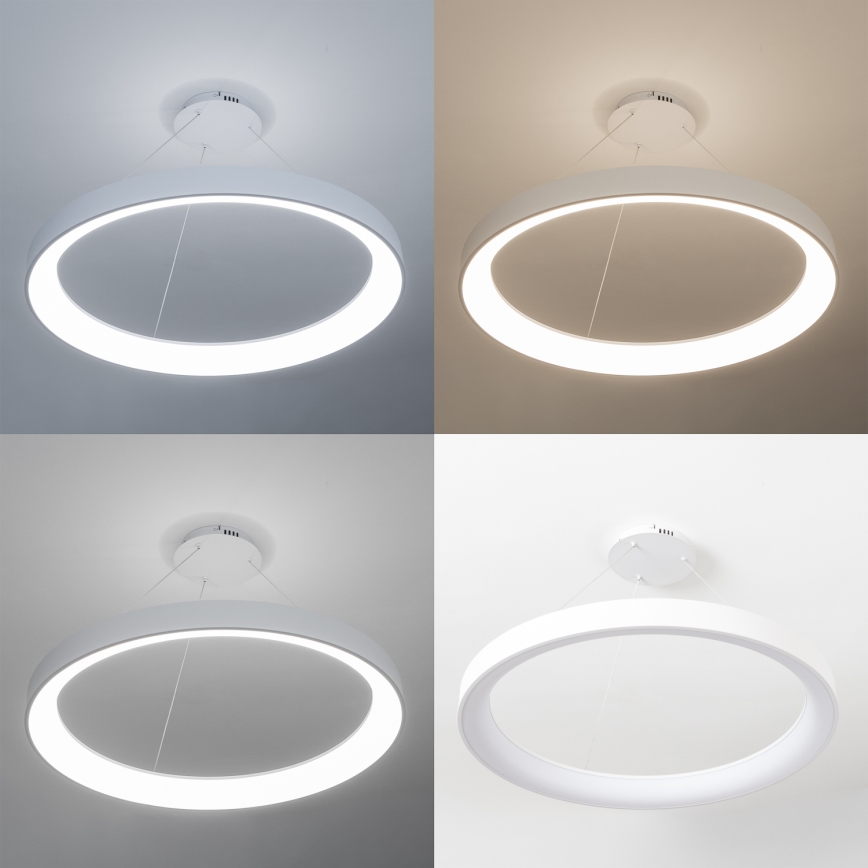 Brilagi - LED Dimmelhető kábeles függeszték FALCON II LED/108W/230V 3000-6500K Ø 80 cm fehér + távirányítóval